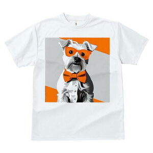 ~j`AViEU[ TVc  j[NfUCY LbY t@  t vg lJWA 킢 lԗp Mtg I ҏ΍ Kl ~j`AViEU