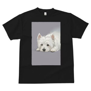 EGXgnChzCgeA TVc  j[NfUCfB[X t@  t vg lJWA 킢 lԗp Mtg I ҏ΍ EGXgnChz