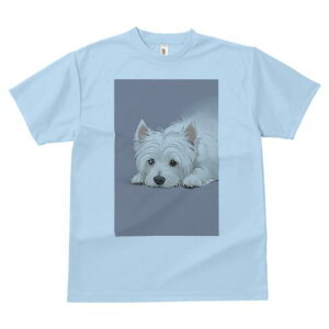 EGXgnChzCgeA TVc  j[NfUCfB[X t@  t vg lJWA 킢 lԗp Mtg I ҏ΍ EGXgnChz