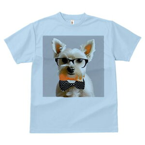 EGXgnChzCgeA TVc  j[NfUCY LbY t@  t vg lJWA 킢 lԗp Mtg I ҏ΍ Kl EGXgn