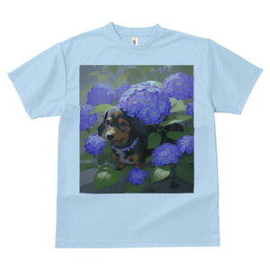 _bNXth TVc  j[NfUCfB[X t@  t vg lJWA 킢 lԗp Mtg I ҏ΍  _bNXth z AWTC