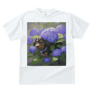 _bNXth TVc  j[NfUCfB[X t@  t vg lJWA 킢 lԗp Mtg I ҏ΍  _bNXth z AWTC