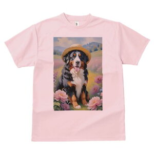 o[j[Y}EehbO TVc  j[NfUCfB[X t@  t vg lJWA 킢 lԗp Mtg I ҏ΍ Xq o[j[Y}Eeh