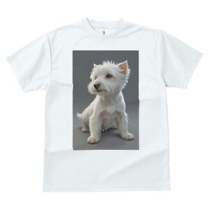 EGXgnChzCgeA TVc  j[NfUCfB[X t@  t vg lJWA 킢 lԗp Mtg I ҏ΍ EGXgnChz