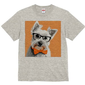 EFXgnChzCgeA TVc  j[NfUCfB[X t@  t vg lJWA 킢 lԗp Mtg I ҏ΍ Kl EFXgnC