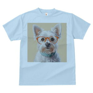 EGXgnChzCgeA TVc  j[NfUCY LbY t@  t vg lJWA 킢 lԗp Mtg I ҏ΍ Kl EGXgn