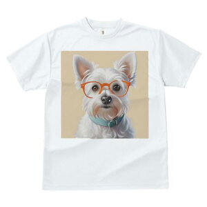 EGXgnChzCgeA TVc  j[NfUCY LbY t@  t vg lJWA 킢 lԗp Mtg I ҏ΍ Kl EGXgn