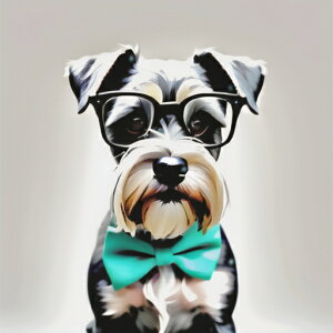 Kl ~j`AViEU[ lN^C NbVJo[ 45×45cm Aj}   NbV{̕t `