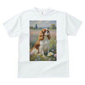 LoA TVc  j[NfUCY LbY t@  t vg lJWA 킢 lԗp Mtg I ҏ΍ Ԕ LoA i G