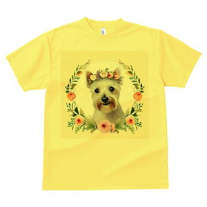 EGXgnChzCgeA TVc  j[NfUCfB[X t@  t vg lJWA 킢 lԗp Mtg I ҏ΍  EGXgnCh