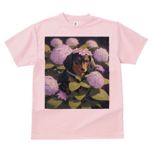 _bNXth TVc  j[NfUCfB[X t@  t vg lJWA 킢 lԗp Mtg I ҏ΍  _bNXth AWTC ԏ