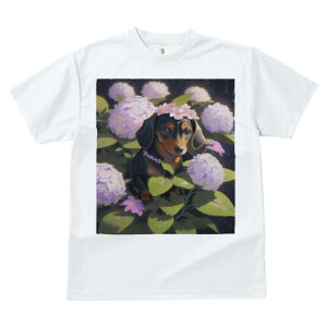 _bNXth TVc  j[NfUCY LbY t@  t vg lJWA 킢 lԗp Mtg I ҏ΍  _bNXth AWTC ԏ