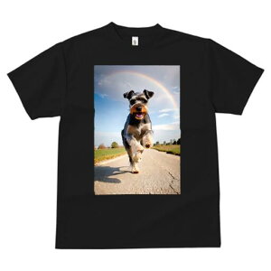 ~j`AViEU[ TVc  j[NfUCfB[X t@  t vg lJWA 킢 lԗp Mtg I ҏ΍  ~j`AViEU[  