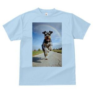 ~j`AViEU[ TVc  j[NfUCfB[X t@  t vg lJWA 킢 lԗp Mtg I ҏ΍  ~j`AViEU[  