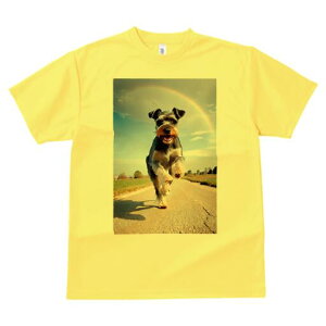 ~j`AViEU[ TVc  j[NfUCfB[X t@  t vg lJWA 킢 lԗp Mtg I ҏ΍  ~j`AViEU[  