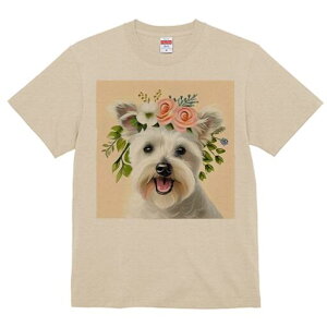 EGXgnChzCgeA TVc  j[NfUCfB[X t@  t vg lJWA 킢 lԗp Mtg I ҏ΍  EGXgnCh