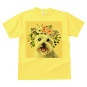 EGXgnChzCgeA TVc  j[NfUCY LbY t@  t vg lJWA 킢 lԗp Mtg I ҏ΍  EGXgnC