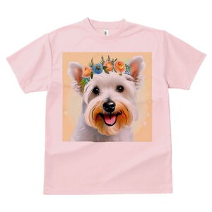 EGXgnChzCgeA TVc  j[NfUCfB[X t@  t vg lJWA 킢 lԗp Mtg I ҏ΍ Ԋ EGXgnC