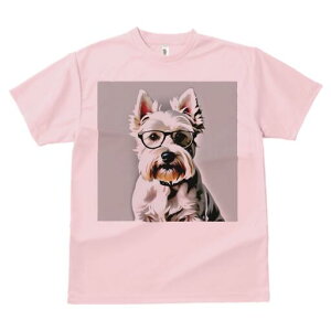 EGXgnChzCgeA TVc  j[NfUCfB[X t@  t vg lJWA 킢 lԗp Mtg I ҏ΍ Kl EGXgnC