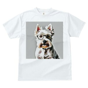 EGXgnChzCgeA TVc  j[NfUCY LbY t@  t vg lJWA 킢 lԗp Mtg I ҏ΍ Kl EGXgn