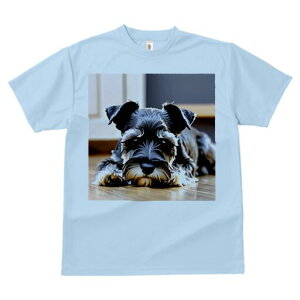 ~j`AViEU[ TVc  j[NfUCfB[X t@  t vg lJWA 킢 lԗp Mtg I ҏ΍ ~j`AViEU[