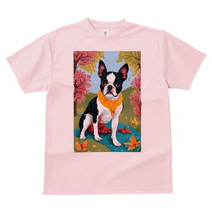 {XgeA TVc  j[NfUCfB[X t@  t vg lJWA 킢 lԗp Mtg I ҏ΍ t {XgeA   XJ[t