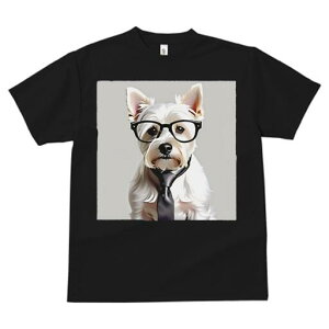 EGXgnChzCgeA TVc  j[NfUCfB[X t@  t vg lJWA 킢 lԗp Mtg I ҏ΍ Kl EGXgnC