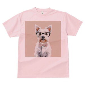 EGXgnChzCgeA TVc  j[NfUCfB[X t@  t vg lJWA 킢 lԗp Mtg I ҏ΍ Kl EGXgnC