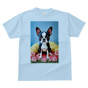 {XgeA TVc  j[NfUCfB[X t@  t vg lJWA 킢 lԗp Mtg I ҏ΍  {XgeA NbV