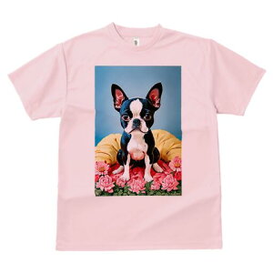 {XgeA TVc  j[NfUCfB[X t@  t vg lJWA 킢 lԗp Mtg I ҏ΍  {XgeA NbV