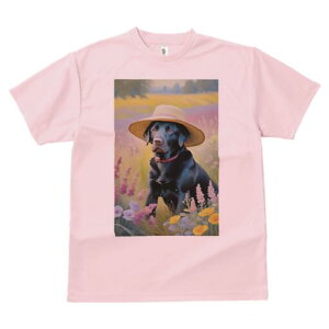 uh[go[ TVc  j[NfUCfB[X t@  t vg lJWA 킢 lԗp Mtg I ҏ΍ Xq uh[go[  