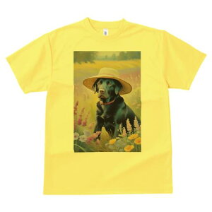 uh[go[ TVc  j[NfUCfB[X t@  t vg lJWA 킢 lԗp Mtg I ҏ΍ Xq uh[go[  