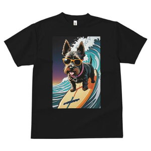 PA[eA TVc  j[NfUCfB[X t@  t vg lJWA 킢 lԗp Mtg I ҏ΍ g PA[eA T[tB TOX