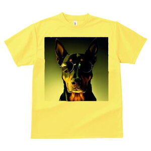 h[x} TVc  j[NfUCfB[X t@  t vg lJWA 킢 lԗp Mtg I ҏ΍ TOX h[x}