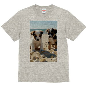 WbNbZeA TVc  j[NfUCfB[X t@  t vg lJWA 킢 lԗp Mtg I ҏ΍ r[` WbNbZeA 