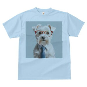 EGXgnChzCgeA TVc  j[NfUCY LbY t@  t vg lJWA 킢 lԗp Mtg I ҏ΍ Kl EGXgn