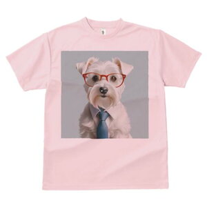 EGXgnChzCgeA TVc  j[NfUCfB[X t@  t vg lJWA 킢 lԗp Mtg I ҏ΍ Kl EGXgnC