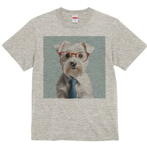 EGXgnChzCgeA TVc  j[NfUCY LbY t@  t vg lJWA 킢 lԗp Mtg I ҏ΍ Kl EGXgn