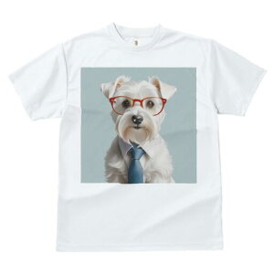 EGXgnChzCgeA TVc  j[NfUCfB[X t@  t vg lJWA 킢 lԗp Mtg I ҏ΍ Kl EGXgnC