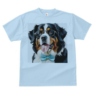 o[j[Y}EehbO TVc  j[NfUCY LbY t@  t vg lJWA 킢 lԗp Mtg I ҏ΍ Kl o[j[Y}E