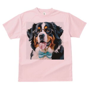 o[j[Y}EehbO TVc  j[NfUCfB[X t@  t vg lJWA 킢 lԗp Mtg I ҏ΍ Kl o[j[Y}Ee