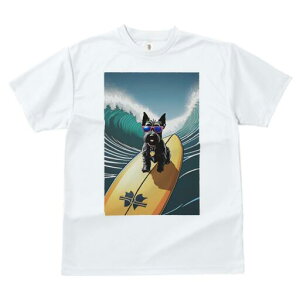 XReBbVeA TVc  j[NfUCfB[X t@  t vg lJWA 킢 lԗp Mtg I ҏ΍ T[tB XReBbVeA 