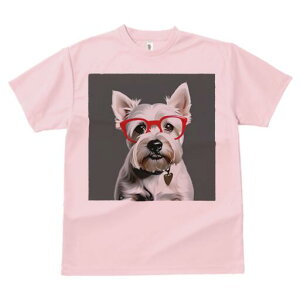 EGXgnChzCgeA TVc  j[NfUCfB[X t@  t vg lJWA 킢 lԗp Mtg I ҏ΍ Kl EGXgnC