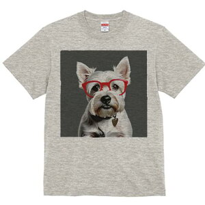 EGXgnChzCgeA TVc  j[NfUCfB[X t@  t vg lJWA 킢 lԗp Mtg I ҏ΍ Kl EGXgnC