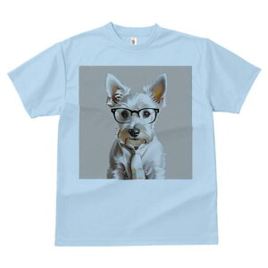 EGXgnChzCgeA TVc  j[NfUCfB[X t@  t vg lJWA 킢 lԗp Mtg I ҏ΍ Kl EGXgnC