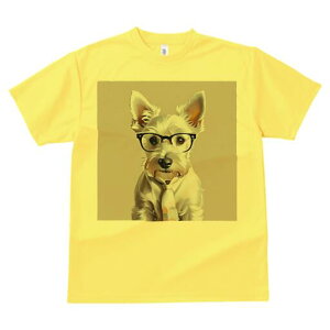 EGXgnChzCgeA TVc  j[NfUCY LbY t@  t vg lJWA 킢 lԗp Mtg I ҏ΍ Kl EGXgn