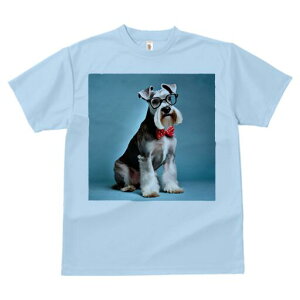 ~j`AViEU[ TVc  j[NfUCfB[X t@  t vg lJWA 킢 lԗp Mtg I ҏ΍ Kl ~j`AViEU[ 