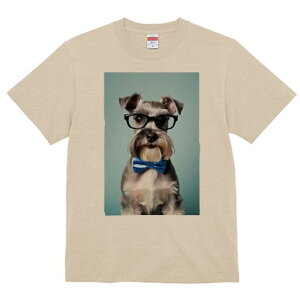 ~j`AViEU[ TVc  j[NfUCY LbY t@  t vg lJWA 킢 lԗp Mtg I ҏ΍ Kl ~j`AViEU