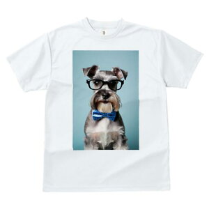 ~j`AViEU[ TVc  j[NfUCfB[X t@  t vg lJWA 킢 lԗp Mtg I ҏ΍ Kl ~j`AViEU[ 