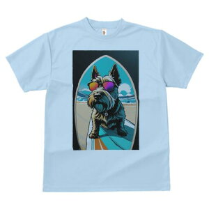 XReBbVeA TVc  j[NfUCfB[X t@  t vg lJWA 킢 lԗp Mtg I ҏ΍ T[t{[h XReBbVeA